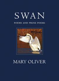 book cover for Swan