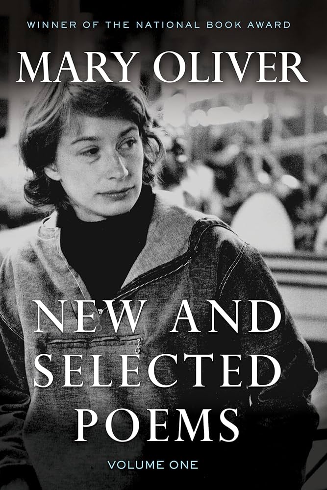 book cover for New and Selected poems Vol. 1