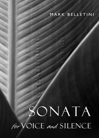 book cover for Sonata for Voice and Silence