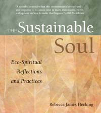 book cover for The Sustainable Soul
