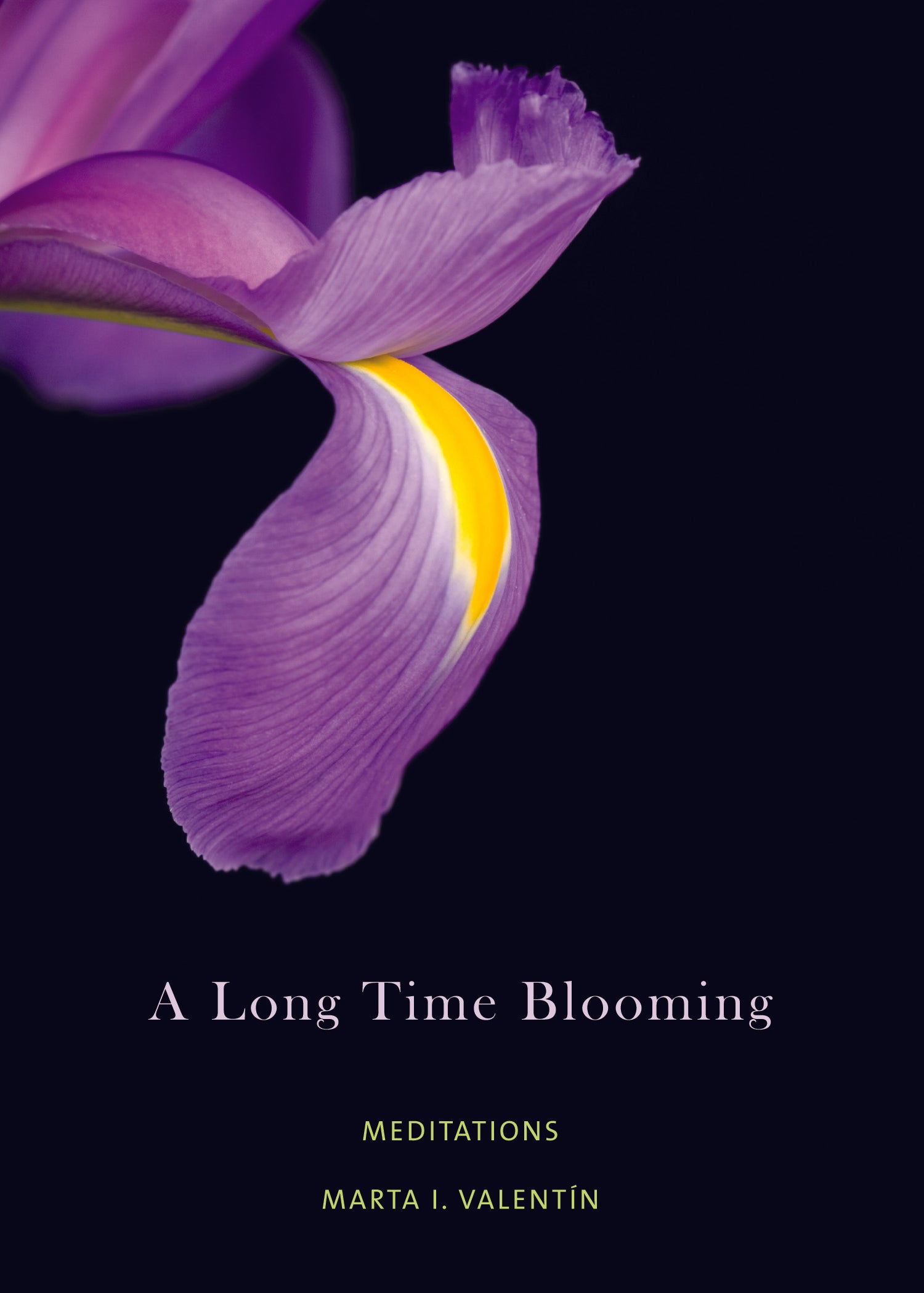 book cover for A Long Time Blooming: Meditations