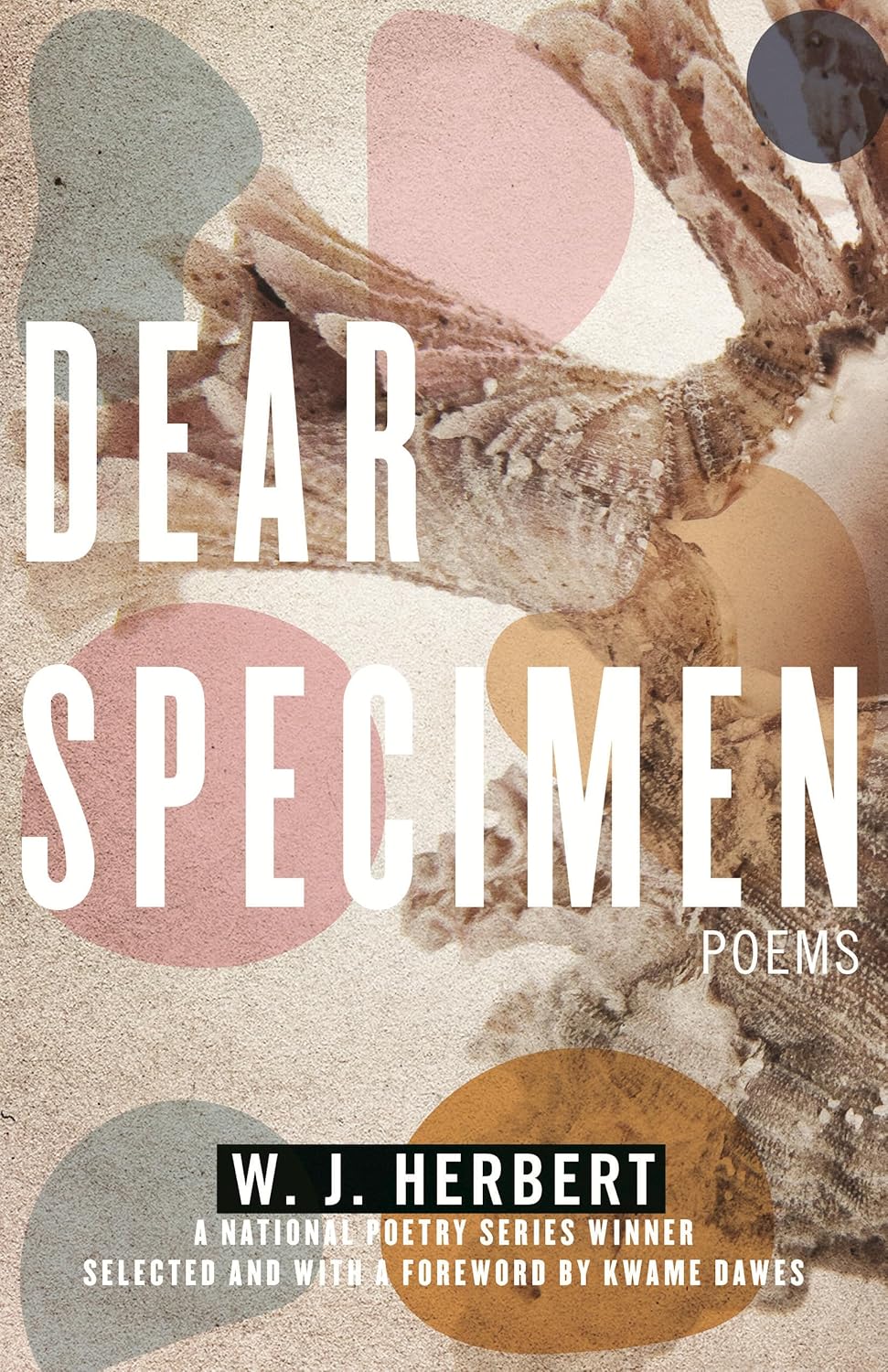 book cover for Dear Specimen