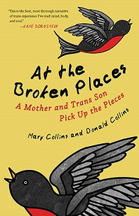 book image for At the Broken Places
