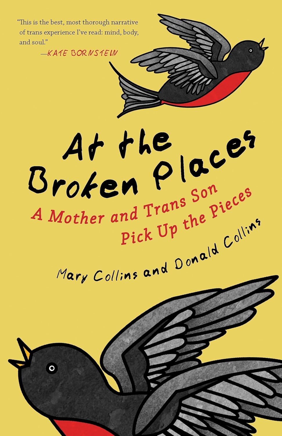 book cover for At the Broken Places