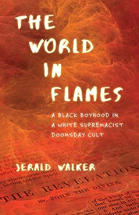 book image for The World in Flames