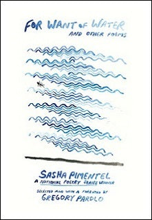 book image for For Want of Water