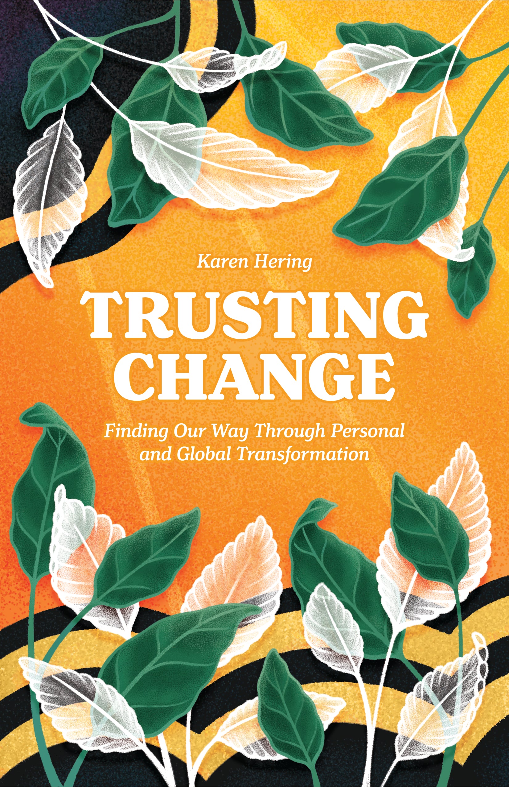 book cover for Trusting Change