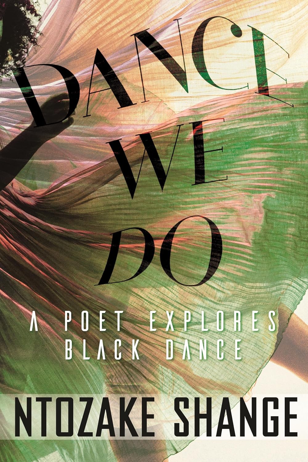 book cover for Dance We Do
