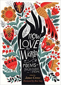 book cover for How to Love the World
