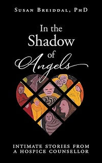book cover for In the Shadow of Angels
