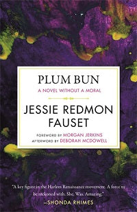book cover for Plum Bun