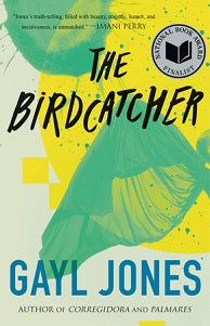 book cover for The Birdcatcher