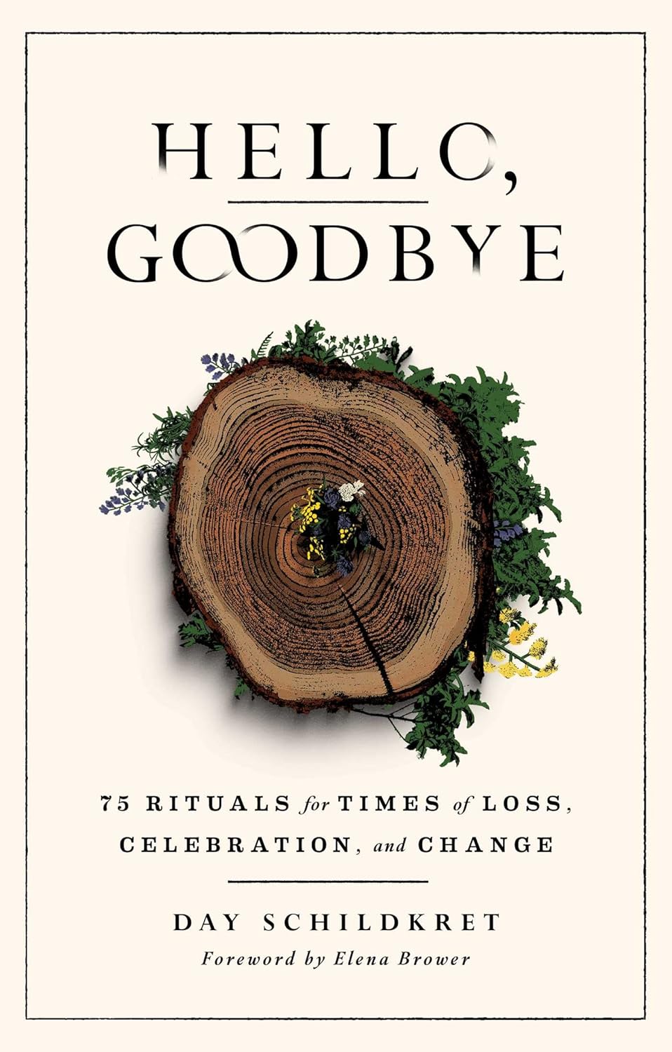 book cover for Hello, Goodbye