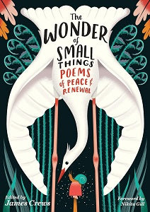 book cover for The Wonder of Small Things