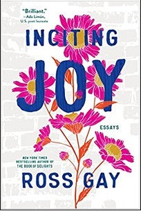 book cover for Inciting Joy