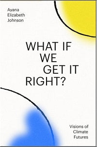 book cover for What If We Get It Right?