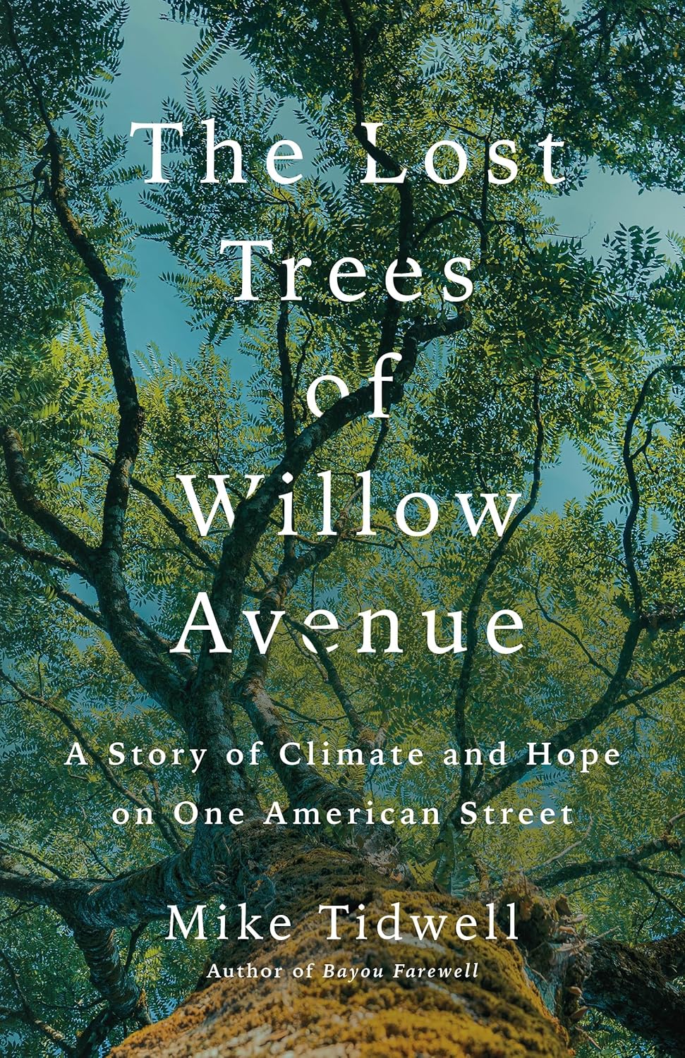 book cover for The Lost Trees of Willow Avenue