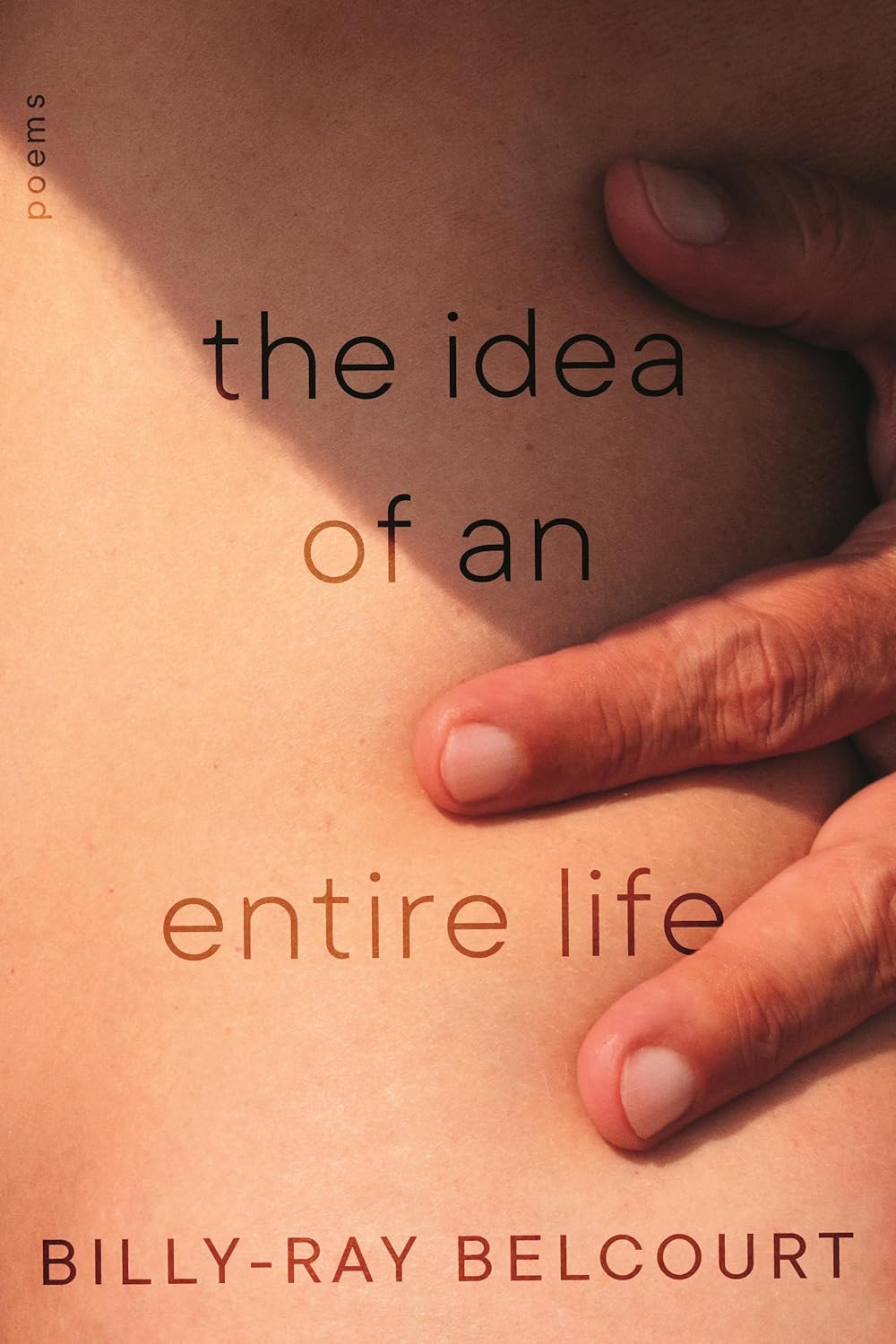 book cover for The Idea of an Entire Life