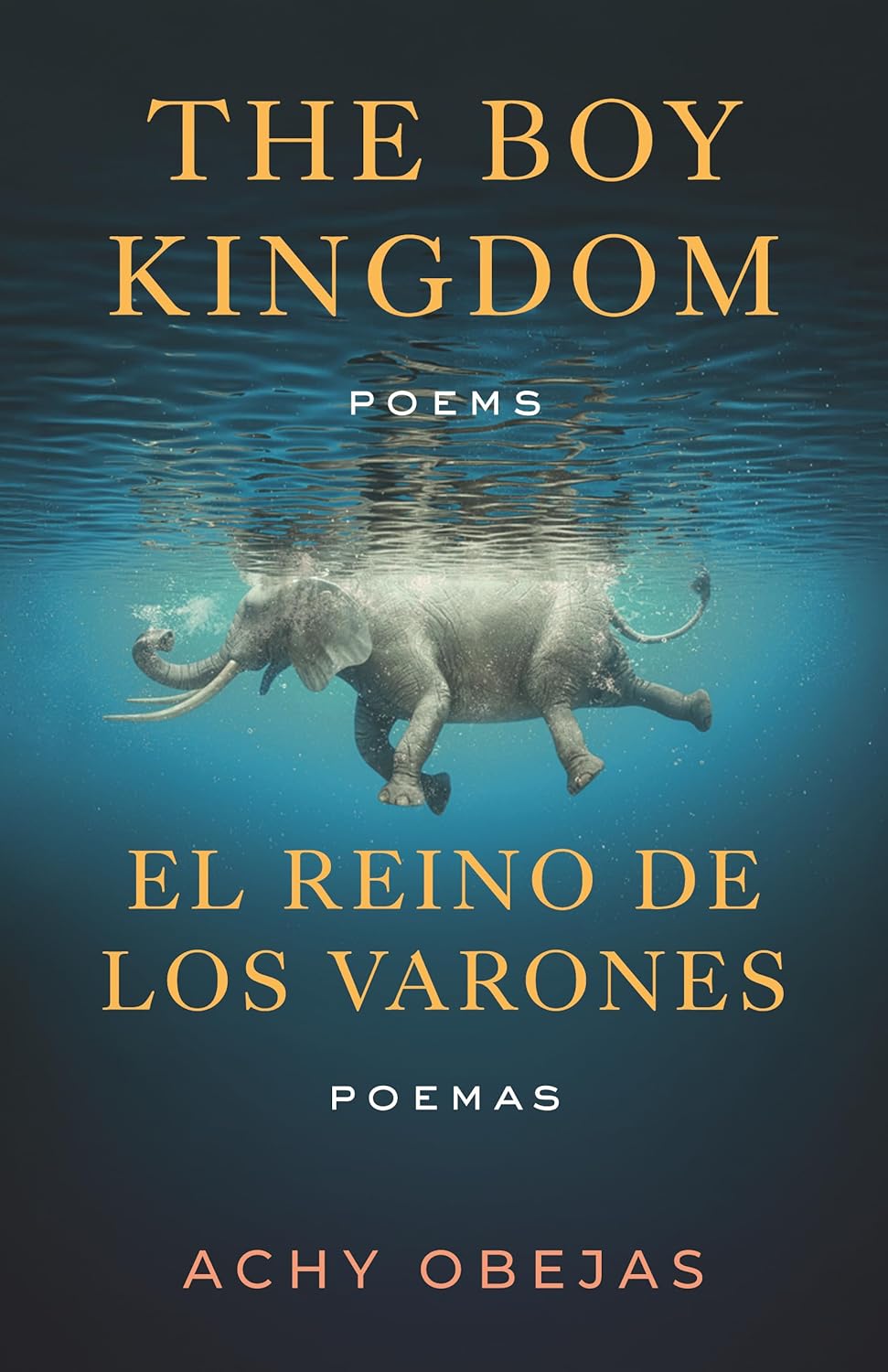 book cover for The Boy Kingdom / El Reino de los Varones