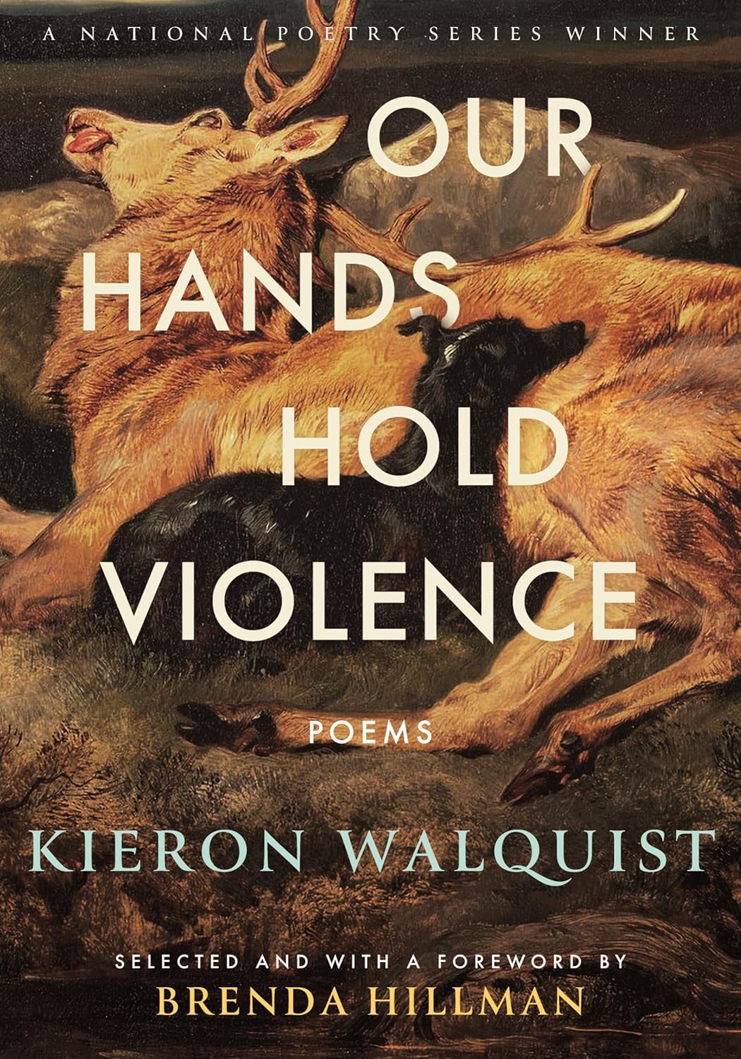 book cover for Our Hands Hold Violence