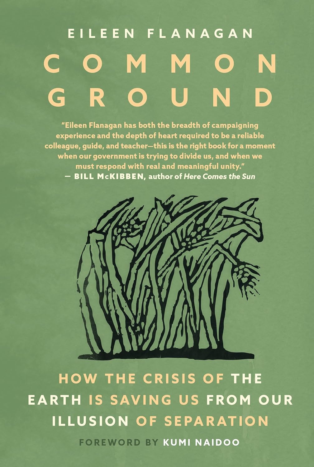 book cover for Common Ground