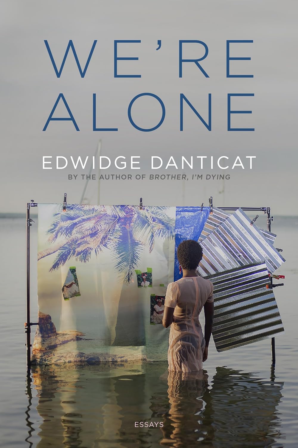 book cover for We're Alone