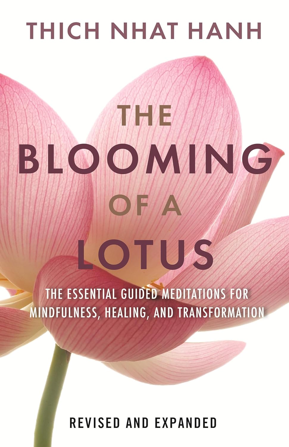 book cover for The Blooming of a Lotus Revised and Expanded