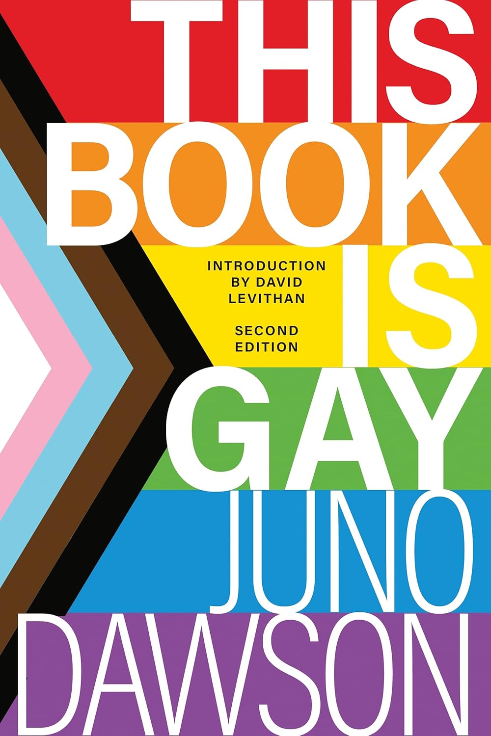 book cover for This Book is Gay