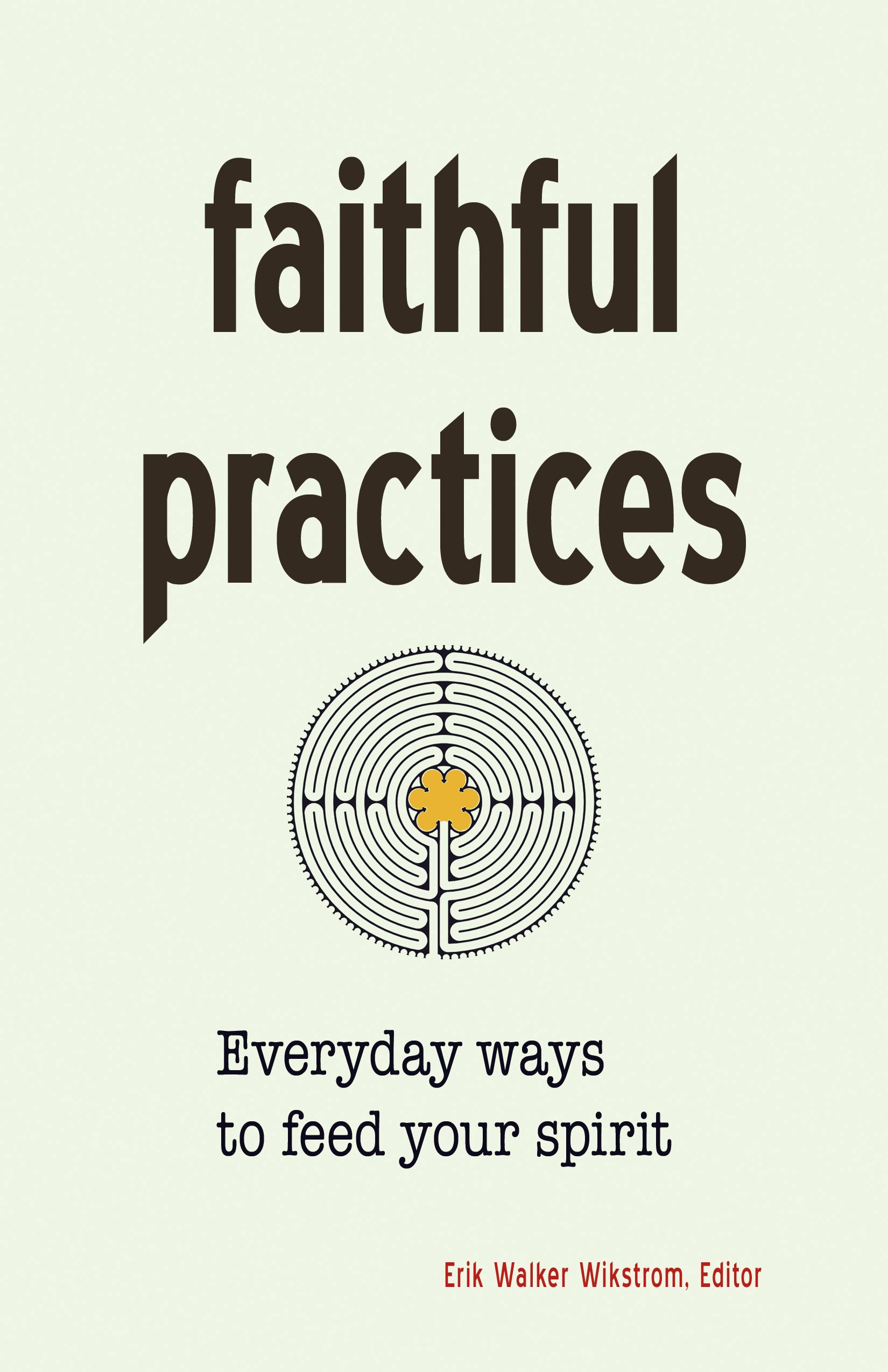 book cover for Faithful Practices