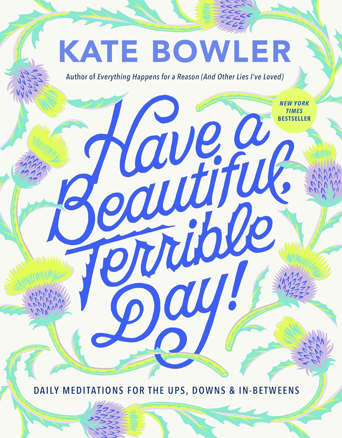 book cover for Have a Beautiful Terrible Day!