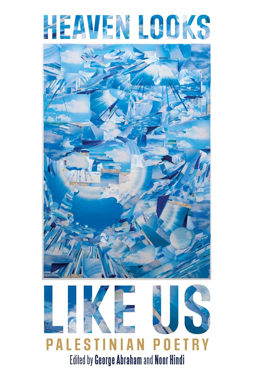 book cover or Heaven Looks Like Us