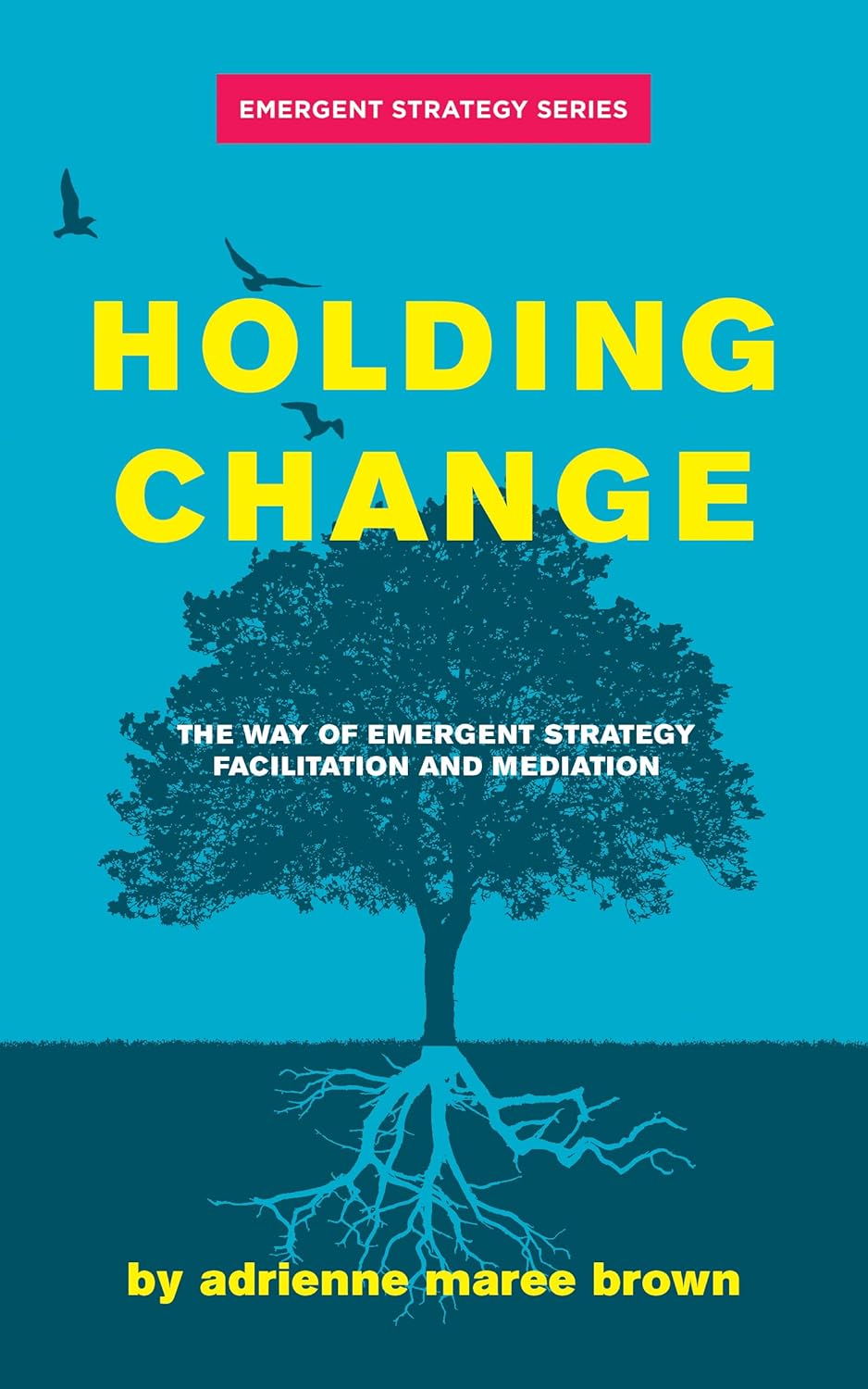 book cover for Holding Change