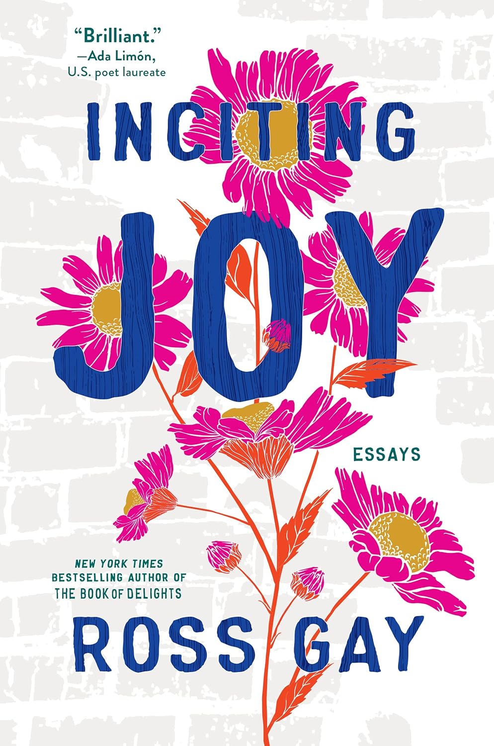book cover for Inciting Joy Essays