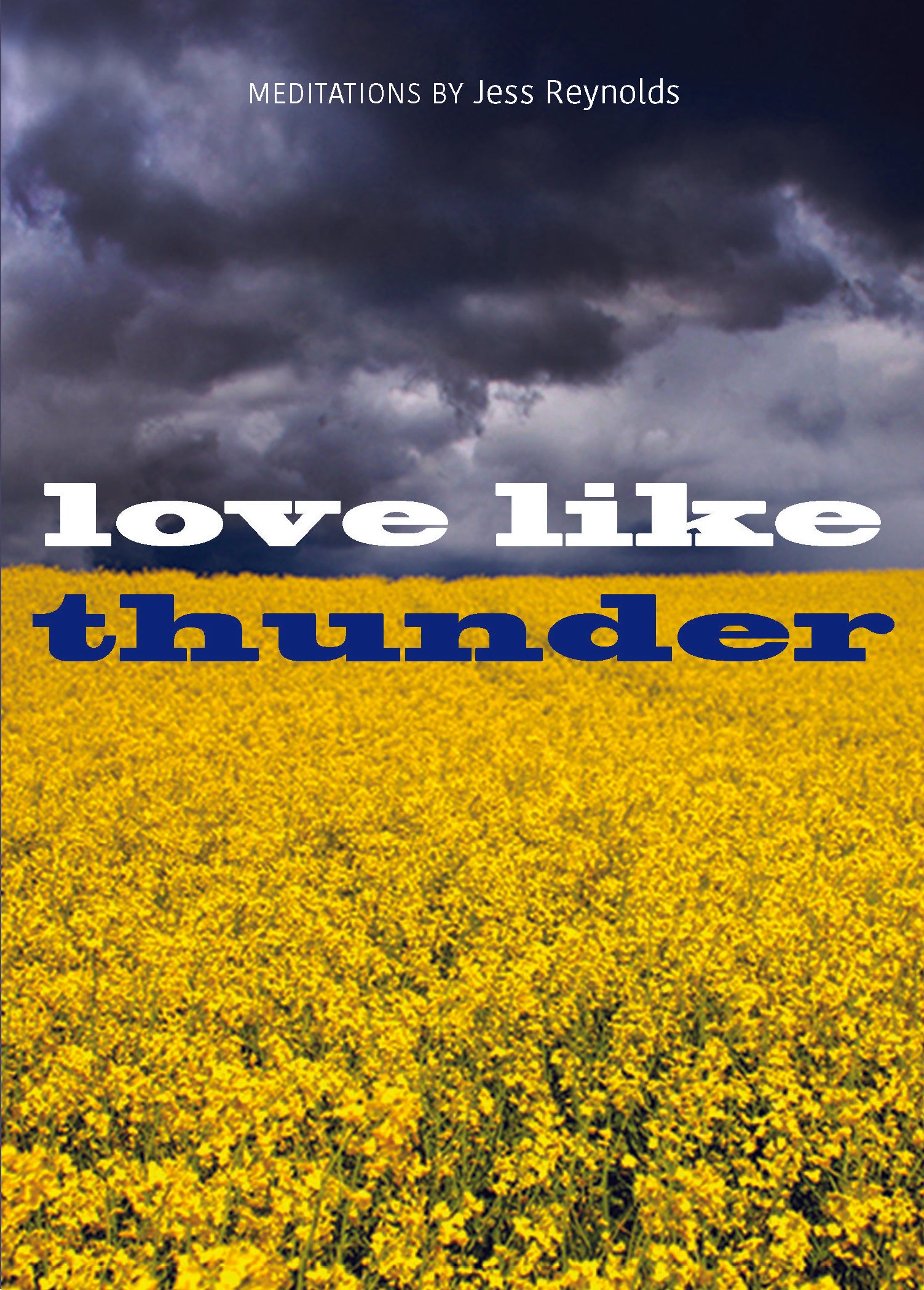 book cover for Love Like Thunder