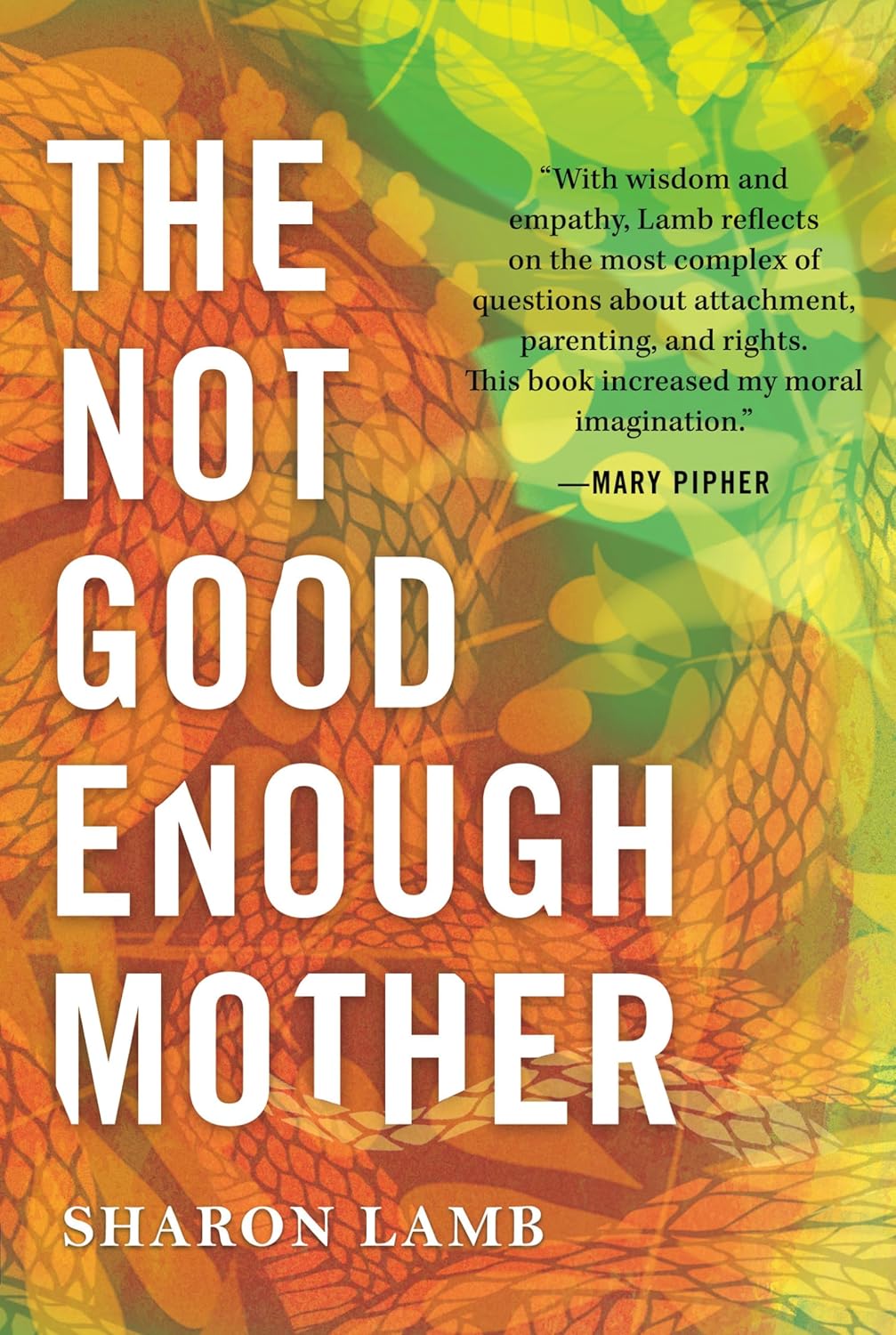 book cover for The Not Good Enough Mother