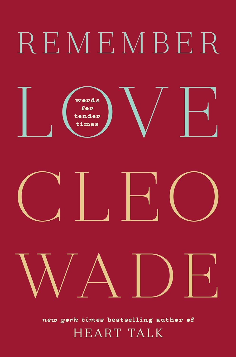 book cover for Remember Love