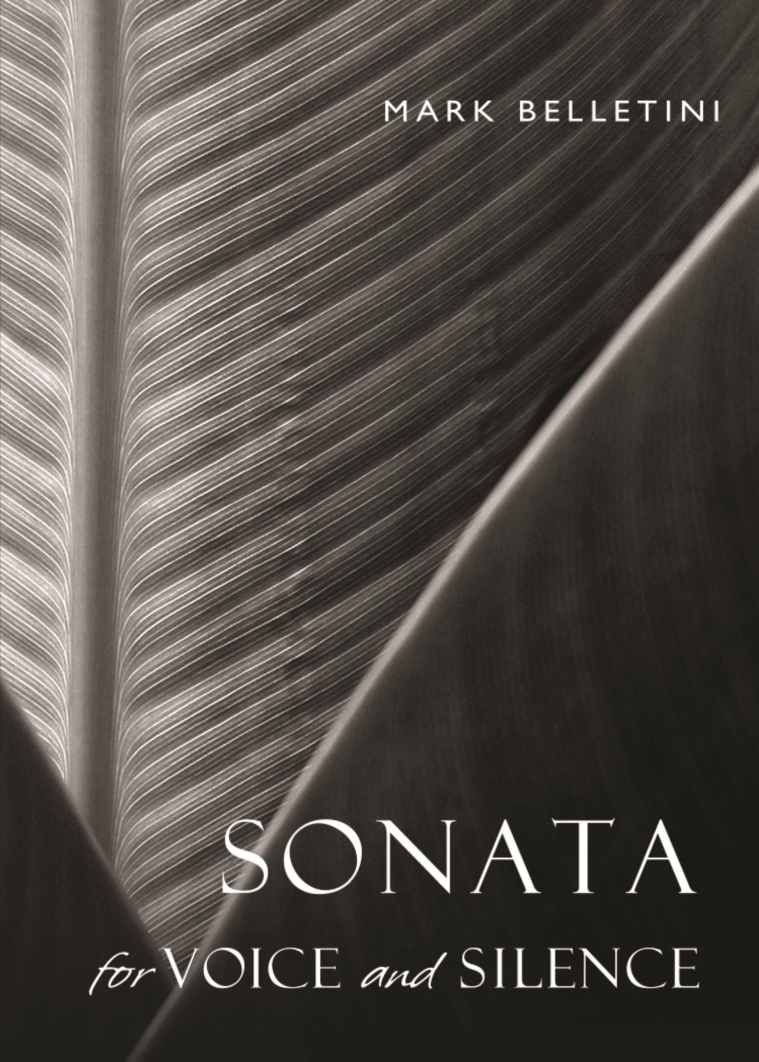 book cover for Sonata for Voice and Silence