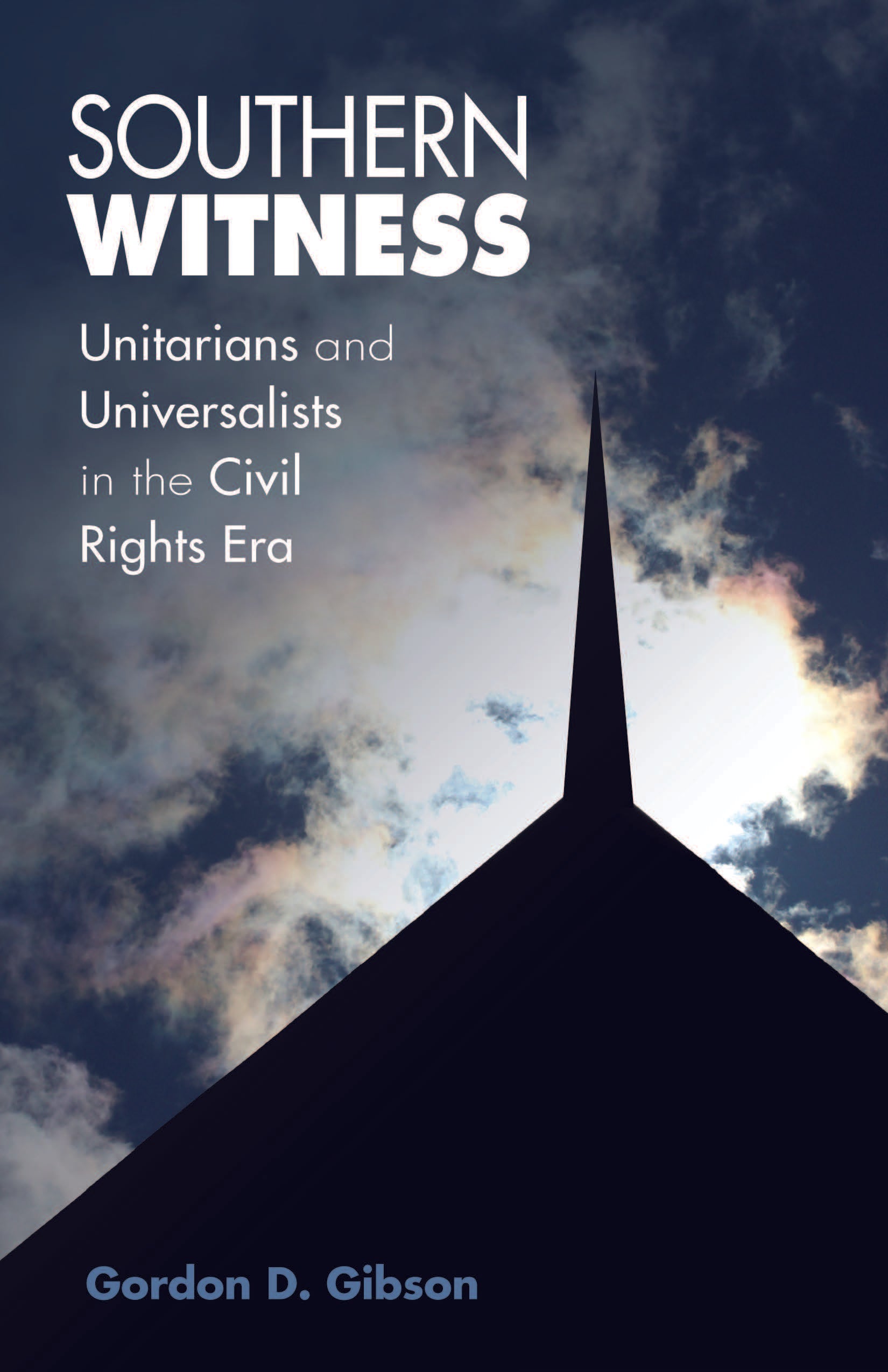 book cover for Southern Witness