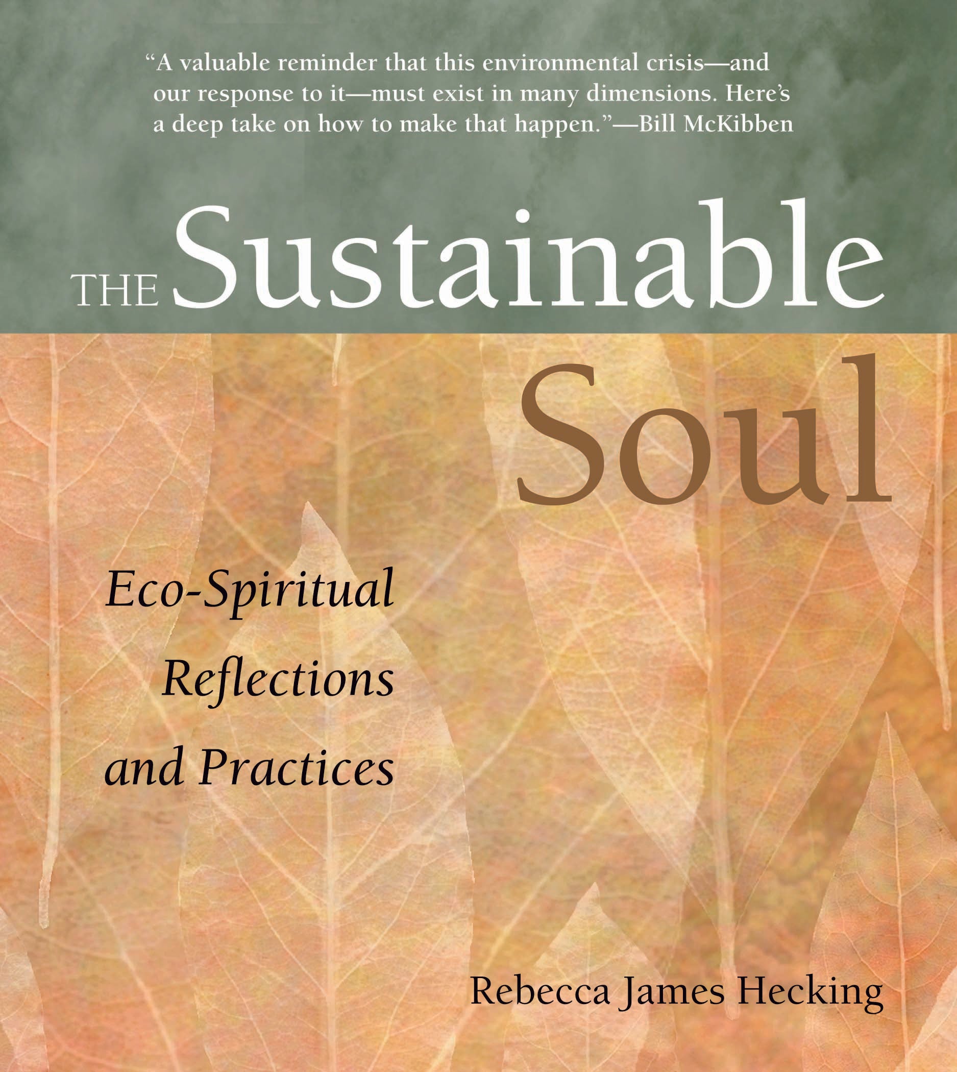 book cover for The Sustainable Soul