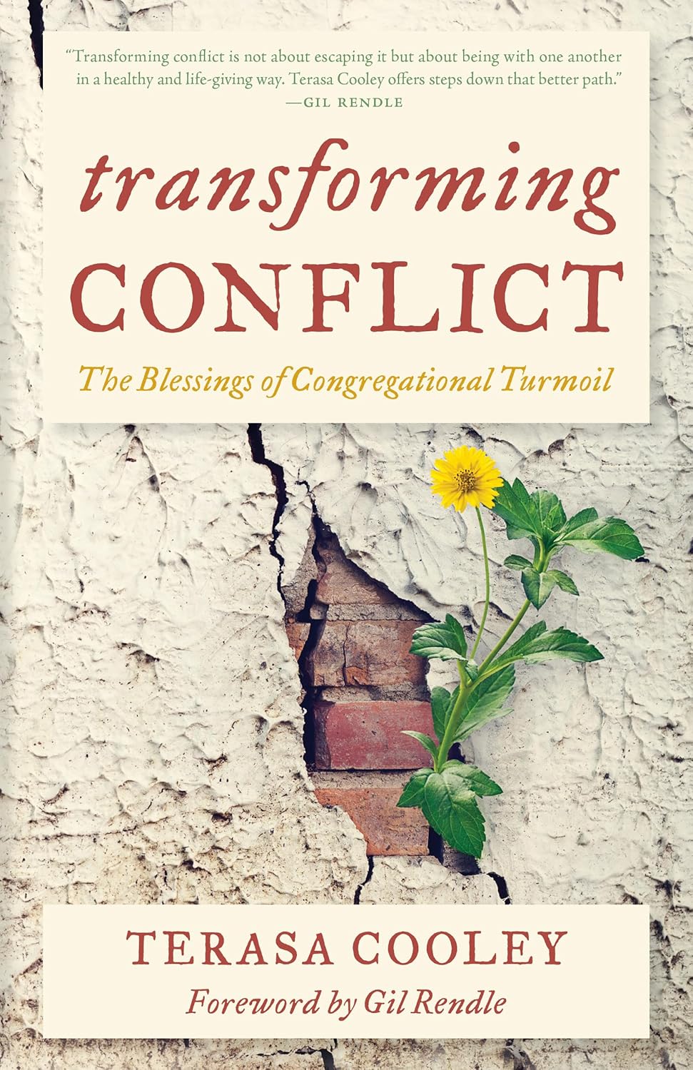 book cover for Transforming Conflict