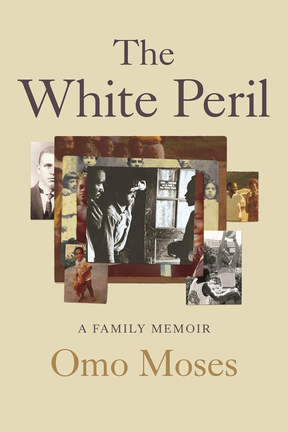 book cover for The White Peril