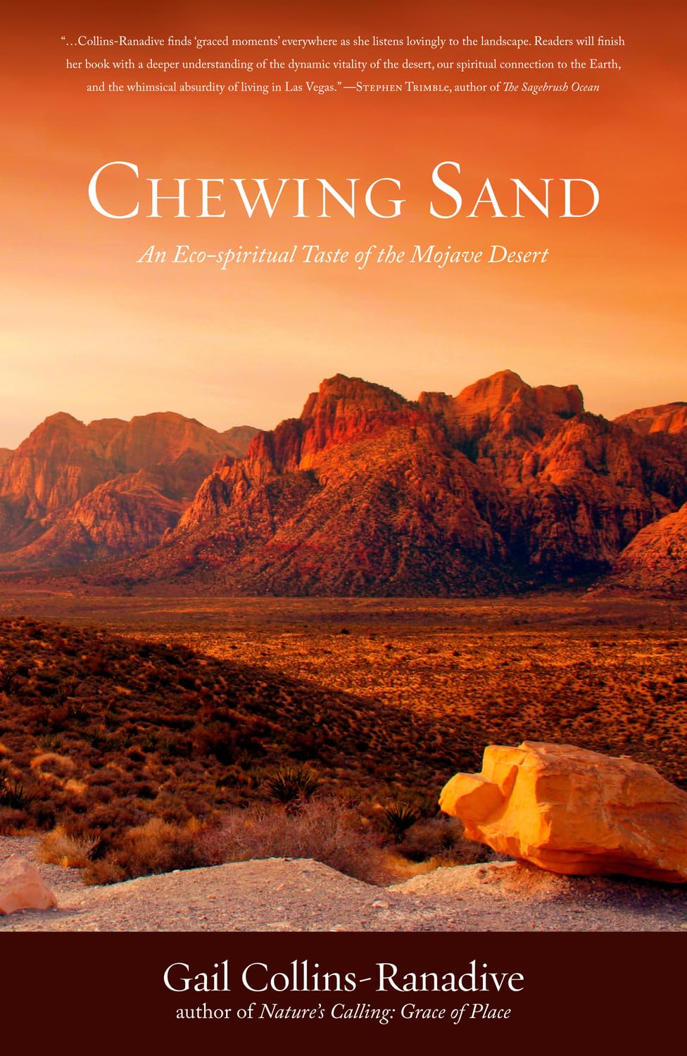 book cover for Chewing Sand