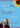 book cover for Did I Say That Out Loud?