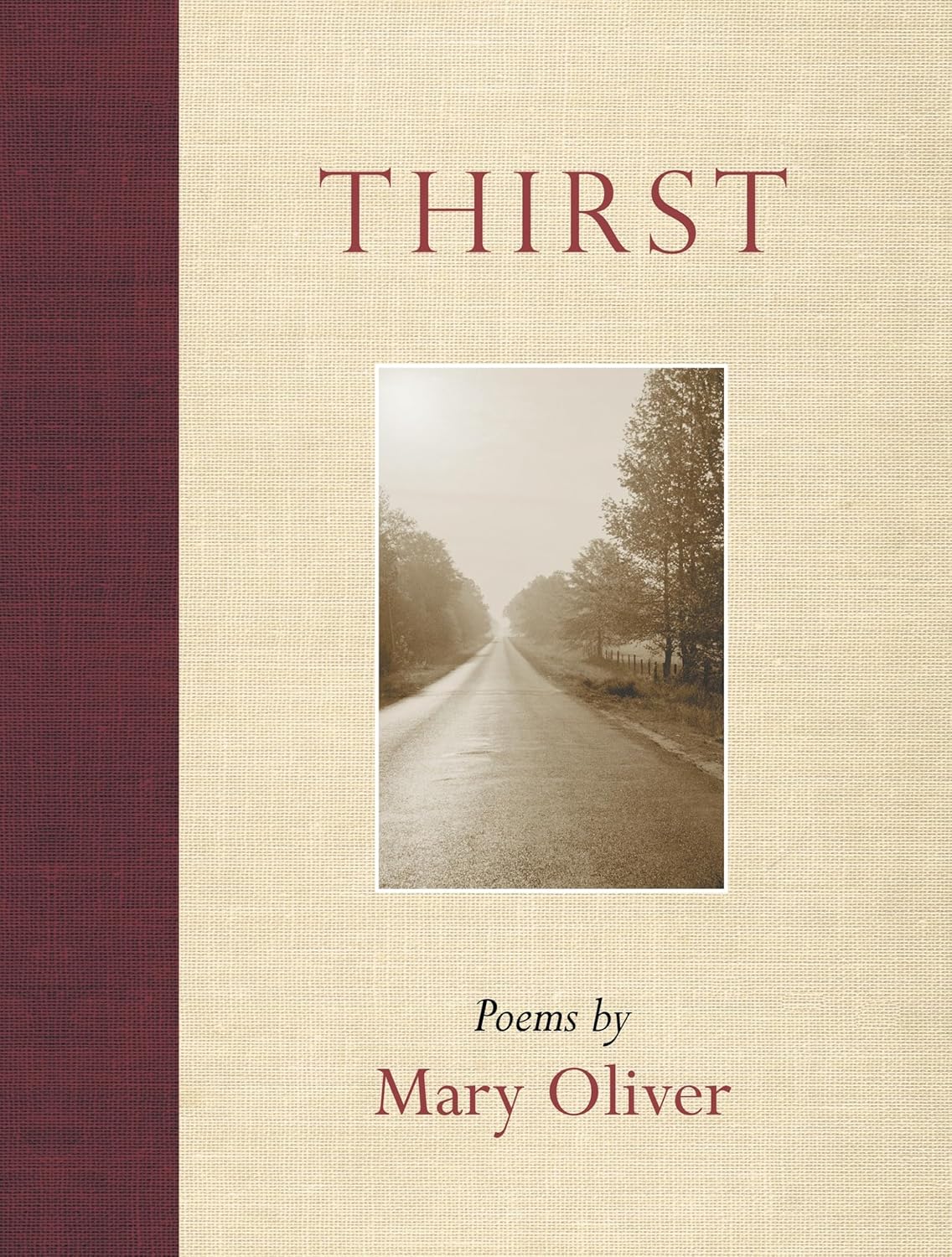 book cover for Thirst