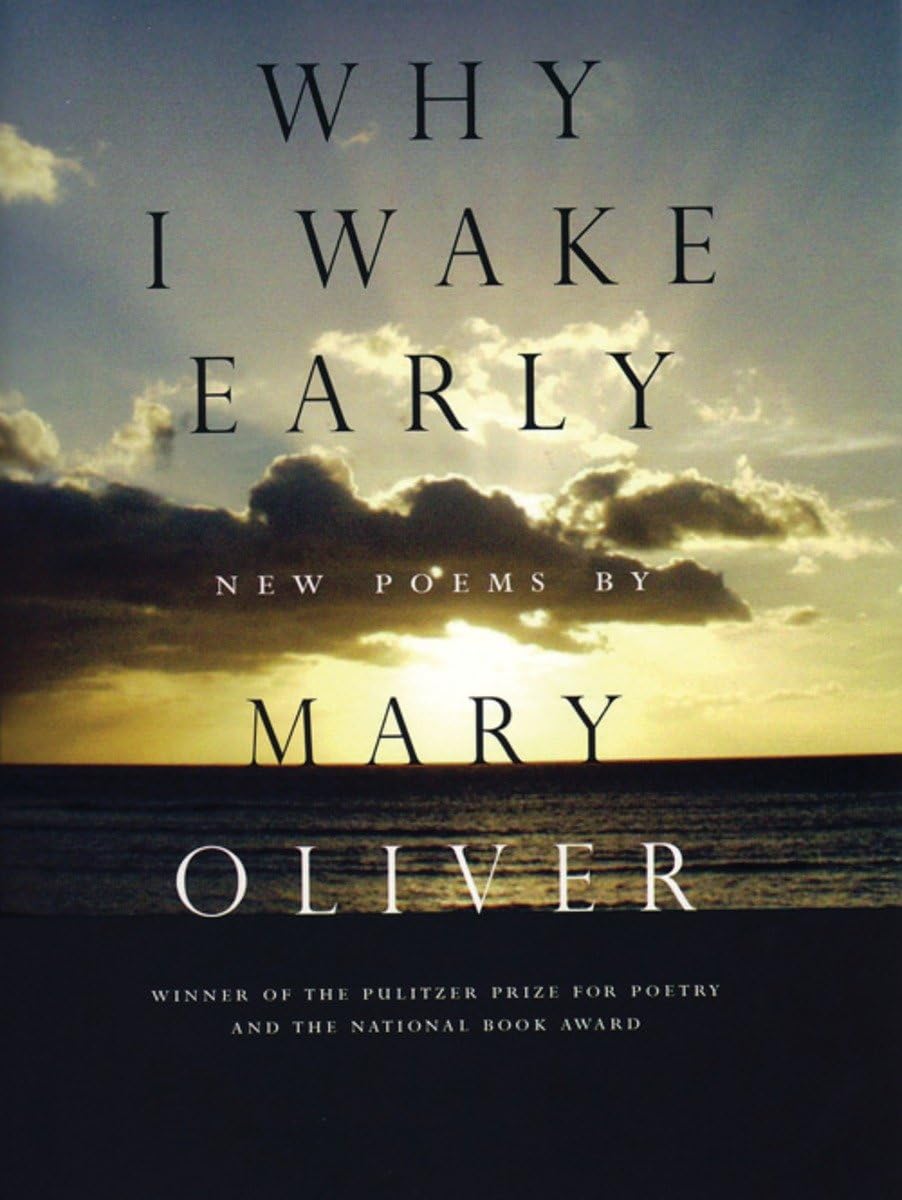 book cover for Why I Wake Early