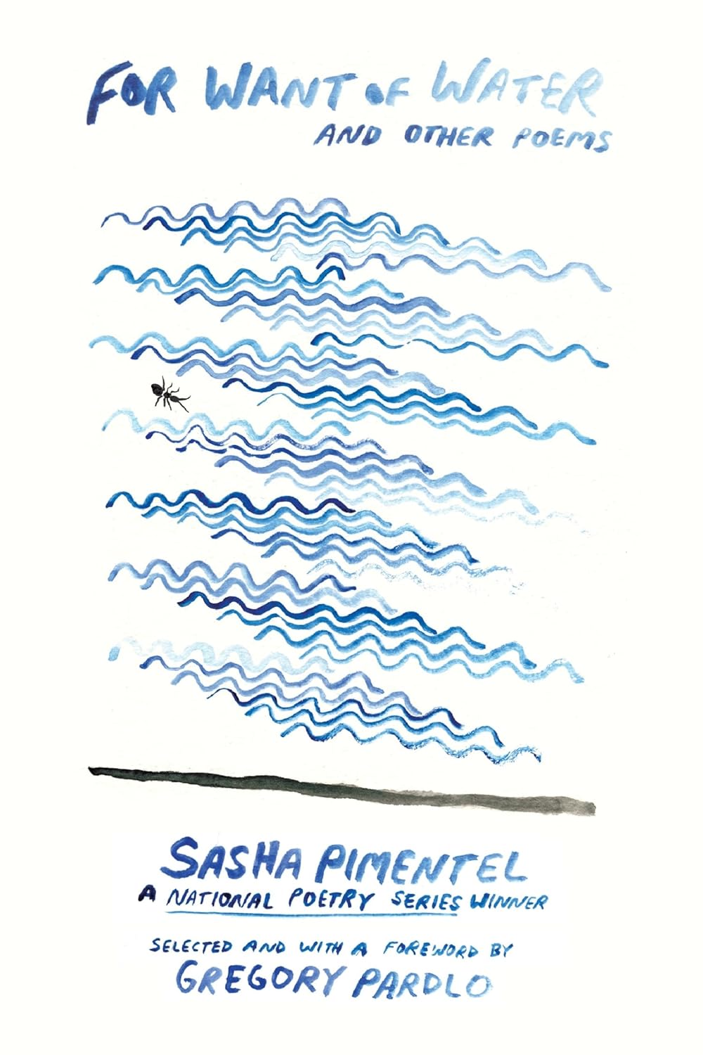book cover for For Want of Water