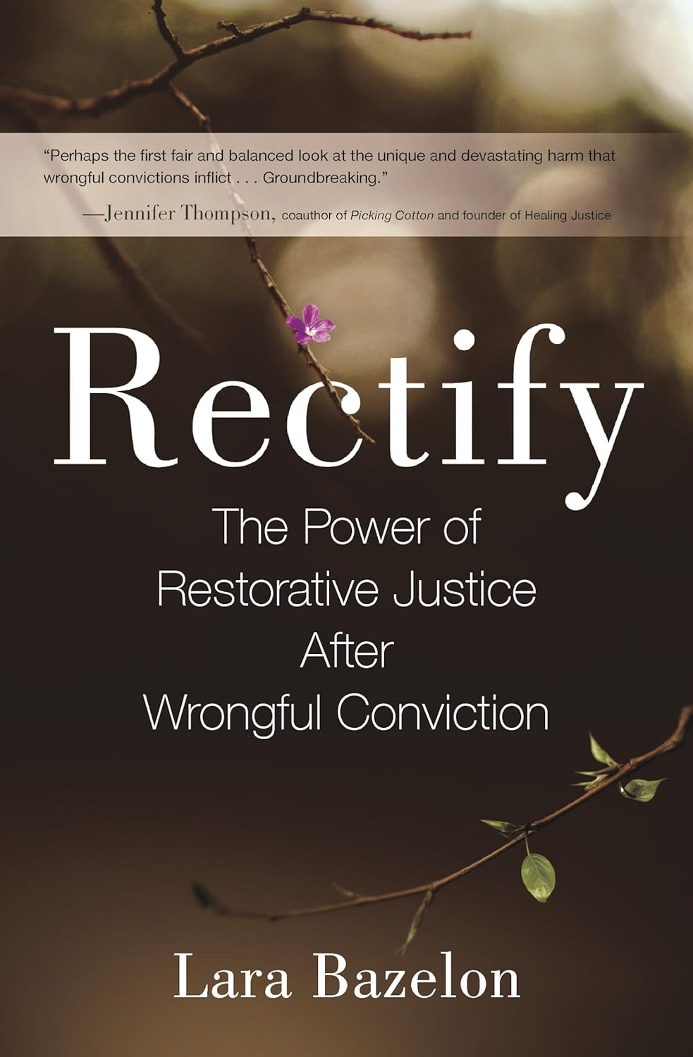book cover for Rectify