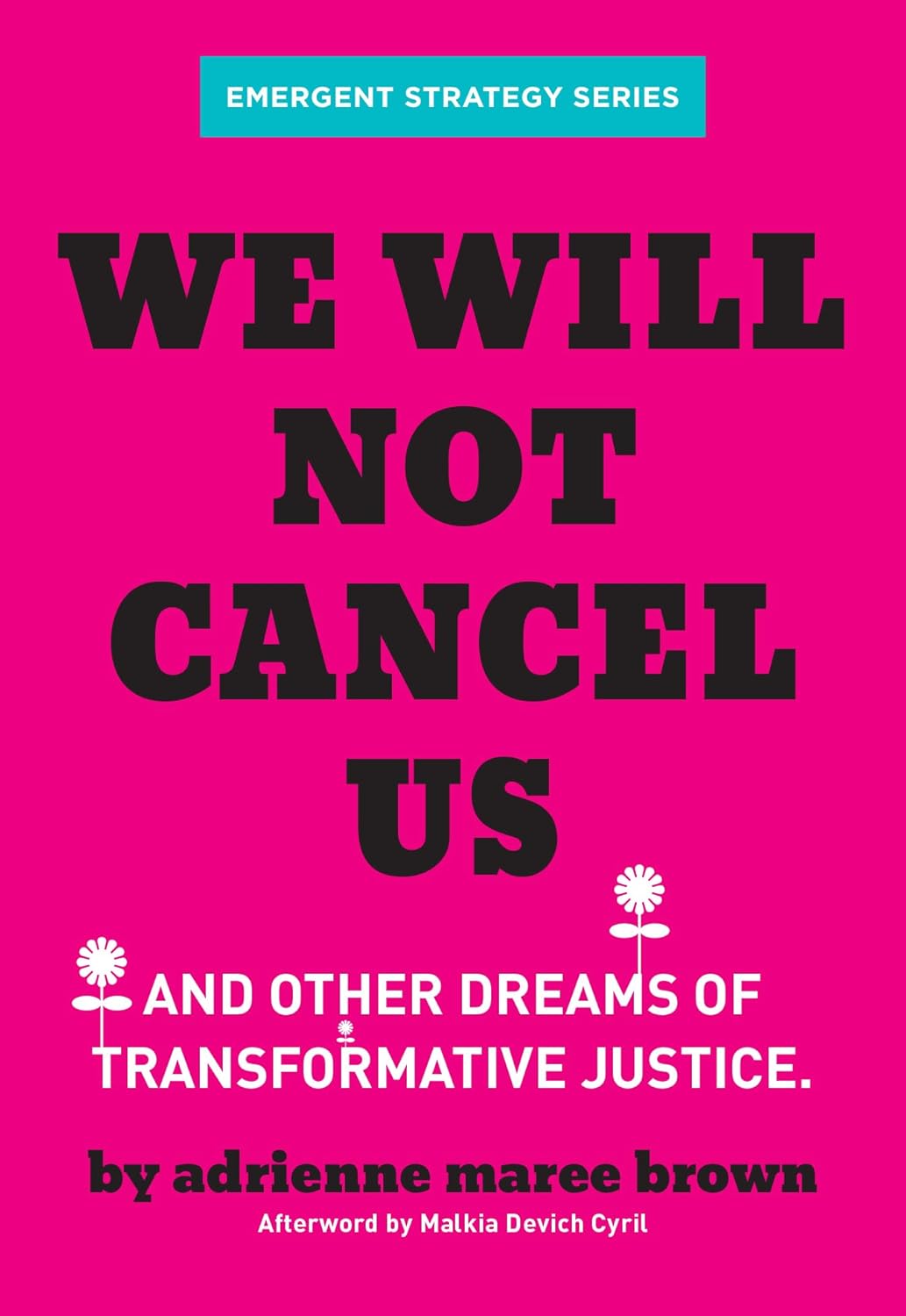 book cover for We Will Not Cancel Us