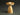 image of Upright Wooden Chalice