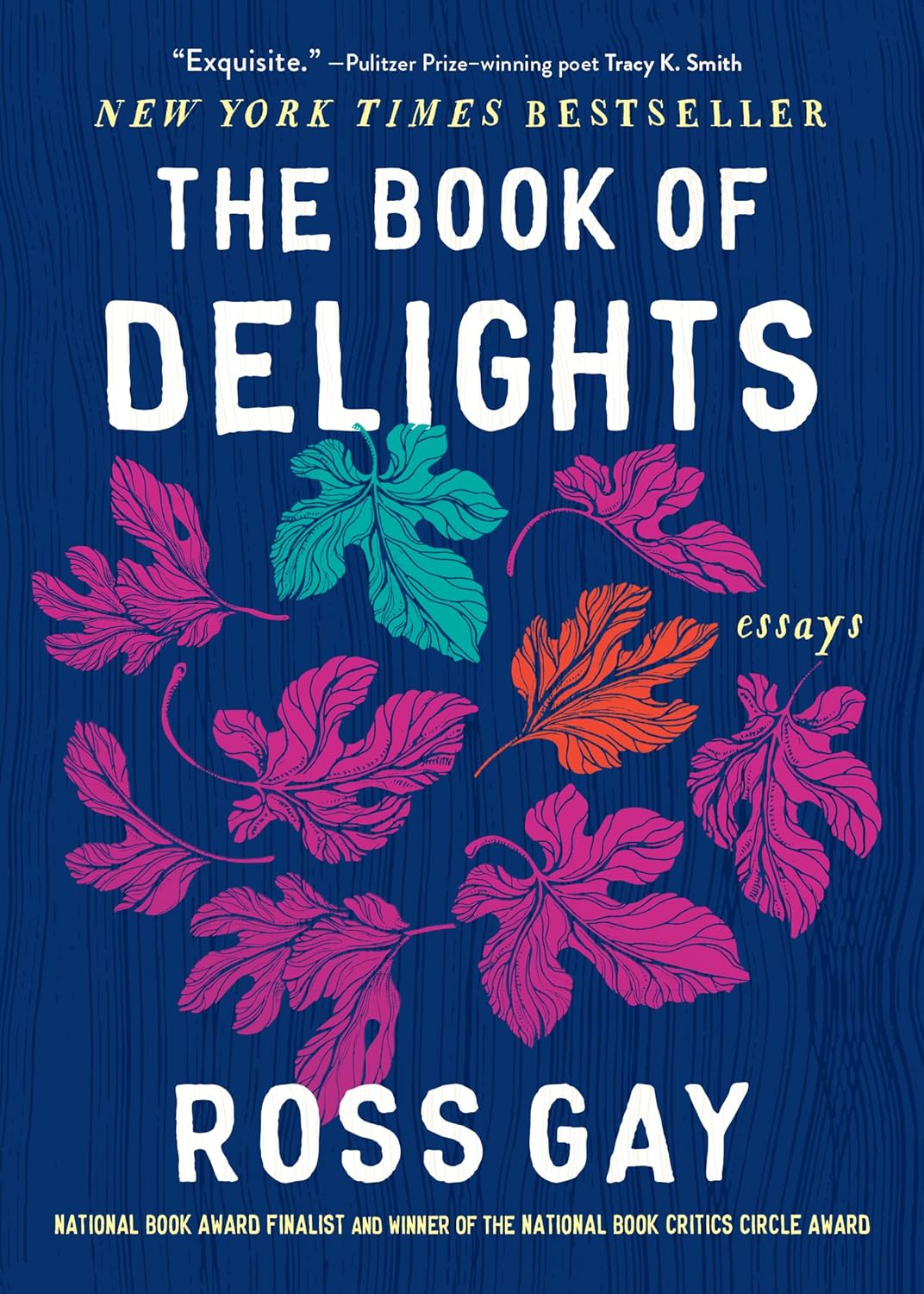 book cover for The Book of Delights